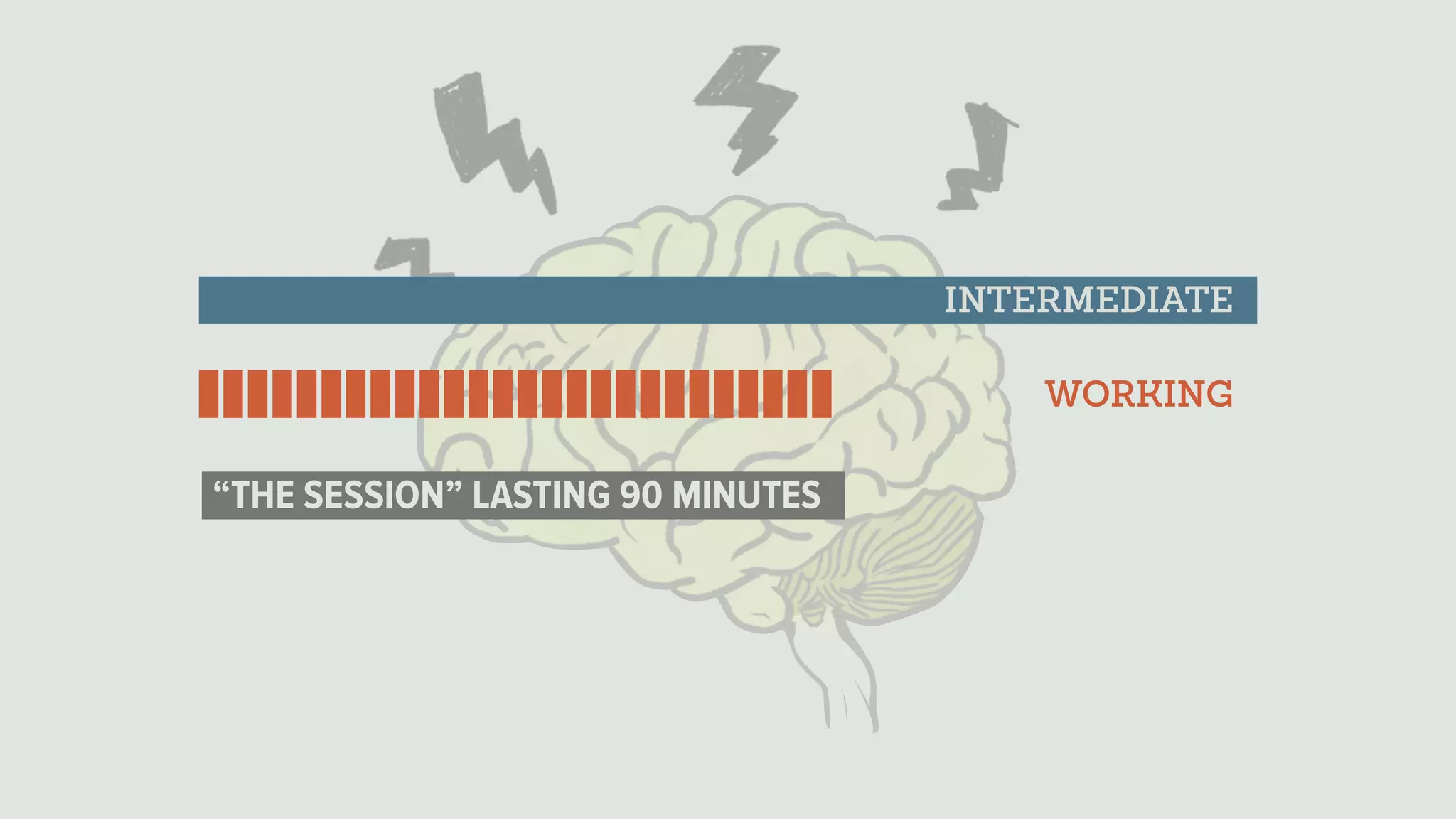 WORKING
INTERMEDIATE
“THE SESSION” LASTING 90 MINUTES
 