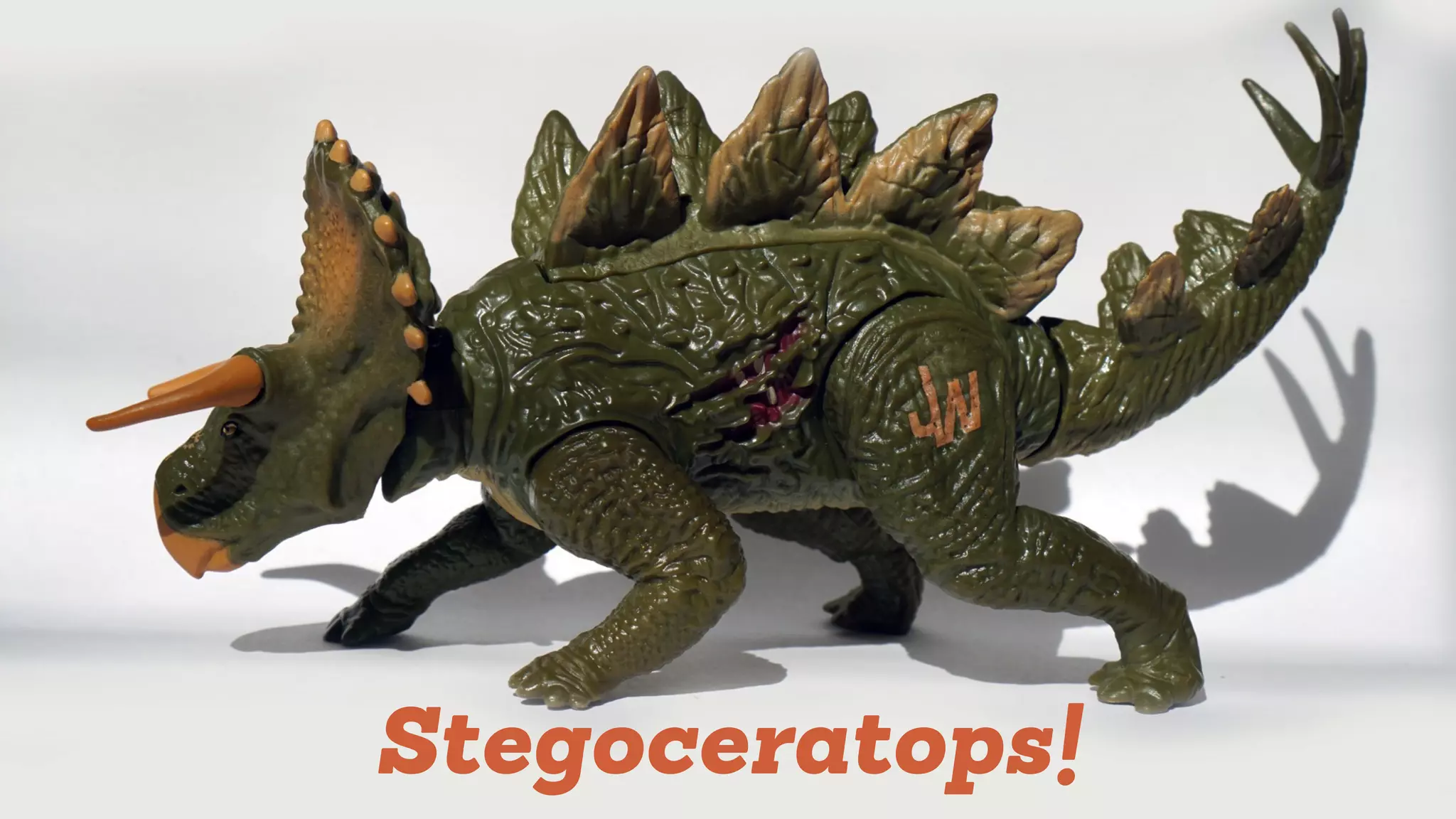 Stegoceratops!
 