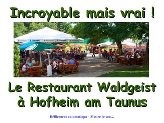 Incroyable mais vrai ! Le Restaurant Waldgeist à Hofheim am Taunus Défilement automatique - Mettre le son… 