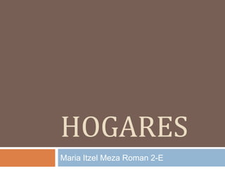 hogares MariaItzel Meza Roman 2-E 