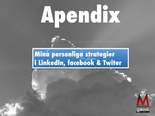 Apendix 
Mina personliga strategier 
i LinkedIn, facebook & Twiter 
 