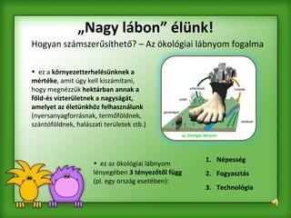 „ Nagy lábon” élünk! Hogyan számszerűsíthető? – Az ökológiai lábnyom fogalma ez a  környezetterhelésünknek a mértéke , amit úgy kell kiszámítani, hogy megnézzük  hektárban annak a föld-és vízterületnek a nagyságát, amelyet az életünkhöz felhasználunk  (nyersanyagforrásnak, termőföldnek, szántóföldnek, halászati területek stb.)  ez az ökológiai lábnyom lényegében  3 tényezőtől függ  (pl. egy ország esetében): Népesség 2.   Fogyasztás 3.   Technológia   