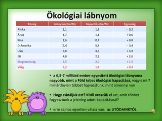 Ökológiai lábnyom a 6,5-7 milliárd ember egyesített ökológiai lábnyoma nagyobb, mint a Föld teljes ökológiai kapacitása,  vagyis mi 7 milliárdnyian többet fogyasztunk, mint amennyi van Hogy csináljuk ezt? Kitől vesszük el  azt, amit többet fogyasztunk a jelenleg adott kapacitásnál? erre sajnos egyetlen válasz van:  az UTÓDAINKTÓL Térség Lábnyom (ha/fő) Kapacitás (ha/fő) Egyenleg Afrika 1,1 1,3 -  0,2 Ázsia 1,7 1,1 + 0,6 Kína 1,6 0,8 + 0,8 D-Amerika 2, 0 5,4 -  3,4 USA 9,6 4,7 + 4,9 EU 4,8 2,2 + 2,6 Magyarország 3,5 2,0 + 1,5 Világ 2,2 1,8 + 0,4 