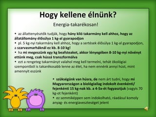 Hogy kellene élnünk? Energia-takarékosan! az állattenyésztők tudják, hogy  hány kiló takarmány kell ahhoz, hogy az állatállomány élősúlya 1 kg-al gyarapodjon   pl. 5 kg-nyi takarmány kell ahhoz, hogy a sertések élősúlya 1 kg-al gyarapodjon, a  szarvasmarháknál ez kb. 8-10 kg! ha  mi megeszünk egy kg beafsteaket, akkor lényegében 8-10 kg-nyi növényt ettünk meg, csak hússá transzformálva ezt a rengeteg takarmányt valahol meg kell termelni, tehát ökológiai szempontból is takarékosabb lenne az élet, ha nem ennénk annyi húst, mint amennyit eszünk szükségünk van húsra, de  nem árt tudni, hogy  mi Magyarországon a biológiailag indokolt évenkénti/ fejenkénti 15 kg-nak kb. a 4-5x-ét fogyasztjuk  (vagyis 70  kg-ot fejenként)  ez semmiképpen sem indokolható, ráadásul komoly anyag- és energiaveszteséget jelent 