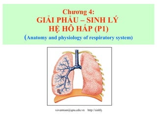Chương 4: GIẢI PHẨU – SINH LÝ  HỆ HÔ HẤP (P1) ( Anatomy and physiology of respiratory system) 