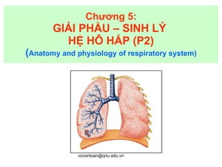 Chương 5: GIẢI PHẨU – SINH LÝ  HỆ HÔ HẤP (P2) ( Anatomy and physiology of respiratory system) 