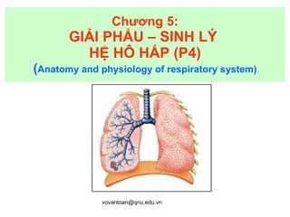 Chương 5: GIẢI PHẨU – SINH LÝ  HỆ HÔ HẤP (P4) ( Anatomy and physiology of respiratory system) 