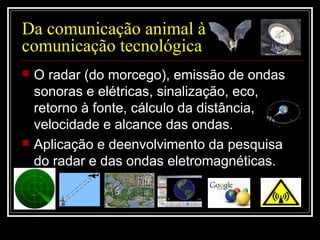 Da comunicação animal à
comunicação tecnológica
 O radar (do morcego), emissão de ondas
sonoras e elétricas, sinalização, eco,
retorno à fonte, cálculo da distância,
velocidade e alcance das ondas.
 Aplicação e deenvolvimento da pesquisa
do radar e das ondas eletromagnéticas.
 
