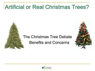 Artificial or Real Christmas Trees? ,[object Object],[object Object]