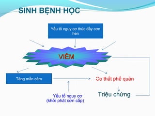 SINH BỆNH HỌC
Y
VIÊMVIÊM
Tăng đáp ứng đường thở
Co thắt phế quản
Yếu tố nguy cơ
(khởi phát cơn cấp)
Triệu chứng
Yếu tố nguy cơ thúc đẩy cơn
hen
Tăng mẫn cảm
 