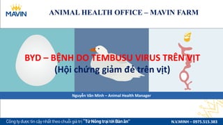 ANIMAL HEALTH OFFICE – MAVIN FARM
N.V.MINH – 0975.515.383
BYD – BỆNH DO TEMBUSU VIRUS TRÊN VỊT
(Hội chứng giảm đẻ trên vịt)
Nguyễn Văn Minh – Animal Health Manager
 