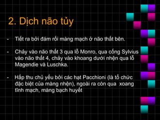 2. Dịch não tủy
- Tiết ra bởi đám rối màng mạch ở não thất bên.
- Chảy vào não thất 3 qua lỗ Monro, qua cống Sylvius
vào não thất 4, chảy vào khoang dưới nhện qua lỗ
Magendie và Luschka.
- Hấp thu chủ yếu bởi các hạt Pacchioni (là tổ chức
đặc biệt của màng nhện), ngoài ra còn qua xoang
tĩnh mạch, màng bạch huyết
 
