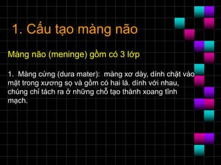 1. Cấu tạo màng não
Màng não (meninge) gồm có 3 lớp
1. Màng cứng (dura mater): màng xơ dày, dính chặt vào
mặt trong xương sọ và gồm có hai lá. dính với nhau,
chúng chỉ tách ra ở những chỗ tạo thành xoang tĩnh
mạch.
 