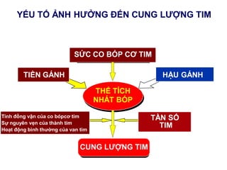 THỂ TÍCH
NHÁT BÓP
TIỀN GÁNH
SỨC CO BÓP CƠ TIM
CUNG LƢỢNG TIM
TẦN SỐ
TIM
Tính đồng vận của co bópcơ tim
Sự nguyên vẹn của thành tim
Hoạt động bình thƣờng của van tim
HẬU GÁNH
YẾU TỐ ẢNH HƢỞNG ĐẾN CUNG LƢỢNG TIM
 