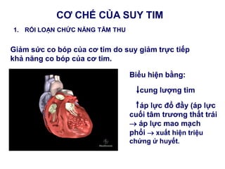 CƠ CHẾ CỦA SUY TIM
Biểu hiện bằng:
cung lƣợng tim
áp lực đổ đầy (áp lực
cuối tâm trƣơng thất trái
 áp lực mao mạch
phổi  xuất hiện triệu
chứng ứ huyết.
1. RỐI LOẠN CHỨC NĂNG TÂM THU
Giảm sức co bóp của cơ tim do suy giảm trực tiếp
khả năng co bóp của cơ tim.
 