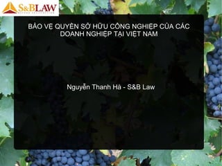 BẢO VỆ QUYỀN SỞ HỮU CÔNG NGHIỆP CỦA CÁC
DOANH NGHIỆP TẠI VIỆT NAM
Nguyễn Thanh Hà - S&B Law
 