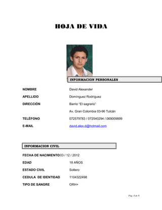 HOJA DE VIDA
NOMBRE David Alexander
APELLIDO Domínguez Rodríguez
DIRECCIÓN Barrio “El sagrario”
Av. Gran Colombia 03-96 Tulcán
TELÉFONO 072579783 / 072540294 / 069009899
E-MAIL david.alex.d@hotmail.com
FECHA DE NACIMIENTO03 / 12 / 2012
EDAD 18 AÑOS
ESTADO CIVIL Soltero
CEDULA DE IDENTIDAD 1104322498
TIPO DE SANGRE ORH+
Pág. 1 de 5
INFORMACION PERSONALESINFORMACION PERSONALES
INFORMACION CIVILINFORMACION CIVIL
 