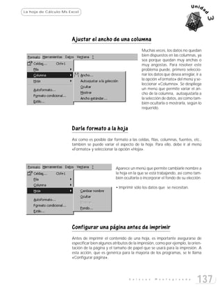 La hoja de Cálculo:Ms Excel




                       Ajustar el ancho de una columna
                                                                 Muchas veces, los datos no quedan
                                                                 bien dispuestos en las columnas, ya
                                                                 sea porque quedan muy anchas o
                                                                 muy angostas. Para resolver este
                                                                 problema puede, primero seleccio-
                                                                 nar los datos que desea arreglar, ir a
                                                                 la opción «Formato» del menú y se-
                                                                 leccionar «Columna». Se despliega
                                                                 un menú que permite variar el an-
                                                                 cho de la columna, autoajustarla a
                                                                 la selección de datos, así como tam-
                                                                 bién ocultarla o mostrarla, según lo
                                                                 requerido.




                       Darle formato a la hoja
                       Así como es posible dar formato a las celdas, filas, columnas, fuentes, etc.,
                       también se puede variar el aspecto de la hoja. Para ello, debe ir al menú
                       «Formato» y seleccionar la opción «Hoja».



                                                 Aparece un menú que permite cambiarle nombre a
                                                 la hoja en la que se está trabajando, así como tam-
                                                 bién ocultarla o incorporar el fondo de su elección.

                                                 • Imprimir sólo los datos que se necesitan.




                       Configurar una página antes de imprimir
                       Antes de imprimir el contenido de una hoja, es importante asegurarse de
                       especificar bien algunos atributos de la impresión, como por ejemplo, la orien-
                       tación de la página y el tamaño de papel que se usará para la impresión. A
                       esta acción, que es genérica para la mayoría de los programas, se le llama
                       «Configurar página».




                                                         E n l a c e s   M o n t e g r a n d e
                                                                                                    137
 