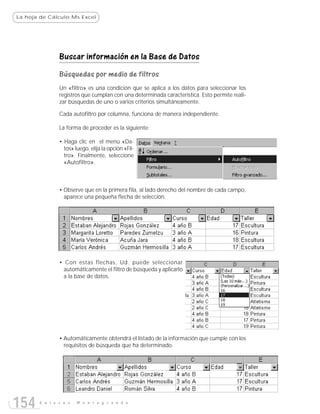 La hoja de Cálculo:Ms Excel




               Buscar información en la Base de Datos
               Búsquedas por medio de filtros
               Un «filtro» es una condición que se aplica a los datos para seleccionar los
               registros que cumplan con una determinada característica. Esto permite reali-
               zar búsquedas de uno o varios criterios simultáneamente.

               Cada autofiltro por columna, funciona de manera independiente.

               La forma de proceder es la siguiente:

               • Haga clic en el menú «Da-
                 tos» luego, elija la opción «Fil-
                 tro». Finalmente, seleccione
                 «Autofiltro».



               • Observe que en la primera fila, al lado derecho del nombre de cada campo,
                 aparece una pequeña flecha de selección.




               • Con estas flechas, Ud. puede seleccionar
                 automáticamente el filtro de búsqueda y aplicarlo
                 a la base de datos.




               • Automáticamente obtendrá el listado de la información que cumple con los
                 requisitos de búsqueda que ha determinado.




154    E n l a c e s   M o n t e g r a n d e
 