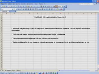 VENTAJAS DE LAS HOJAS DE CALCULO
Importar, organizar y explorar conjuntos de datos masivos con hojas de cálculo significativamente
ampliadas
Disfrutar de mayor y mejor compatibilidad para trabajar con tablas
Permiten compartir hojas de cálculo con mayor seguridad
Reducir el tamaño de las hojas de cálculo y mejorar la recuperación de archivos dañados a la vez
 