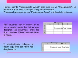 Hemos escrito "Presupuesto Anual" pero solo se ve "Presupuesto". La 
palabra "Anual" esta oculta por la siguiente columna. 
Podemos hacer que se vea "Presupuesto Anual" ampliando la columna. 
Nos situamos con el cursor en la 
barra donde están las letras que 
designan las columnas, entre las 
dos columnas. Véase la crucecita en 
la figura. 
Y manteniendo pulsado el 
botón izquierdo del ratón nos 
desplazamos 
 