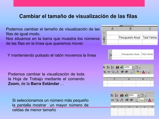Cambiar el tamaño de visualización de las filas 
Podemos cambiar el tamaño de visualización de las 
filas de igual modo. 
Nos situamos en la barra que muestra los números 
de las filas en la línea que queremos mover. 
Y manteniendo pulsado el ratón movemos la línea 
Podemos cambiar la visualización de toda 
la Hoja de Trabajo mediante el comando 
Zoom, de la Barra Estándar . . 
Si seleccionamos un número más pequeño 
la pantalla mostrar un mayor número de 
celdas de menor tamaño 
 