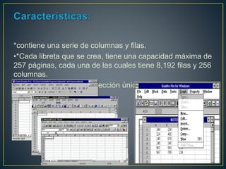 *contiene una serie de columnas y filas.
•*Cada libreta que se crea, tiene una capacidad máxima de
257 páginas, cada una de las cuales tiene 8,192 filas y 256
columnas.
*Cada celda tiene una dirección única: (Página: columna
fila)
 