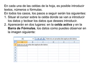 En cada una de las celdas de la hoja, es posible introducir textos, números o fórmulas.En todos los casos, los pasos a seguir serán los siguientes:Situar el cursor sobre la celda donde se van a introducir los datos y teclear los datos que desees introducir.Aparecerán en dos lugares: en la celda activa y en la Barra de Fórmulas, los datos como puedes observar en la imagen siguiente: