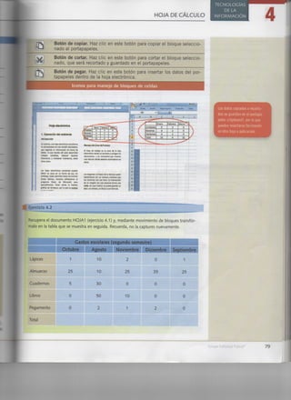 Hoja de cálculo (excel)