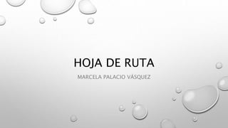HOJA DE RUTA 
MARCELA PALACIO VÁSQUEZ 
 