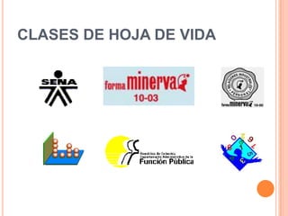 CLASES DE HOJA DE VIDA
 