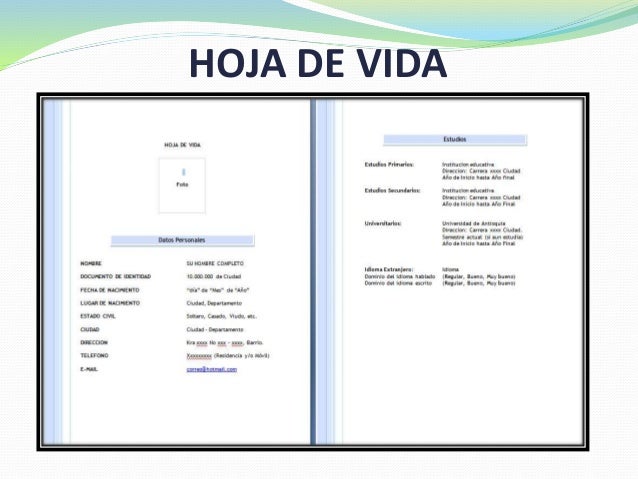 Hoja de vida, carta de presentación y entrevista laboral