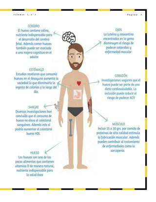 V o l u m e n 1 , n º 1 P á g i n a 3
 