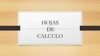 HOJAS 
DE 
CALCULO 
 