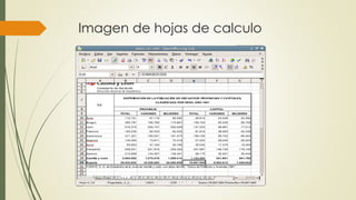 Imagen de hojas de calculo 
 
