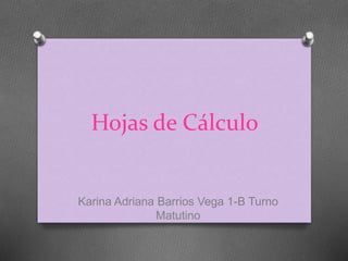 Hojas de Cálculo 
Karina Adriana Barrios Vega 1-B Turno 
Matutino 
 