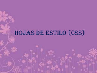 HOJAS DE ESTILO (CSS)
 