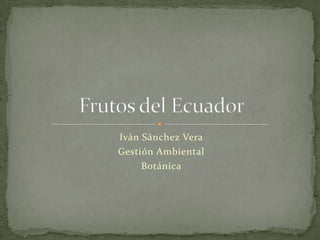Iván Sánchez Vera Gestión Ambiental Botánica Frutos del Ecuador 