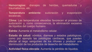 - Hemorragias: drenajes de heridas, quemaduras y
traumatismos, etc.
- Temperatura ambiente: sudoración y evaporación
excesivas.
- Clima: Las temperaturas elevadas favorecen el proceso de
sudoración y, como consecuencia, la eliminación excesiva
de líquidos del cuerpo humano.
- Estrés: Aumenta el metabolismo celular.
- Estado de salud: vómitos, diarreas y estados patológicos,
como por ejemplo las patologías cardíacas, que pueden
afectar al riego sanguíneo de los riñones y producir una
disminución de los productos de desecho del metabolismo.
- Actividad física elevada: Aumenta la pérdida de líquidos.
 