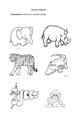 152
HOJA DE TRABAJO
Instrucciones: Colorea los animales salvajes
 