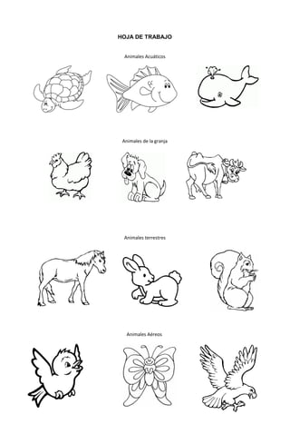 155
HOJA DE TRABAJO
Animales Acuáticos
Animales de la granja
Animales terrestres
Animales Aéreos
 