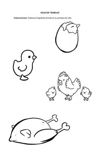 228
HOJA DE TRABAJO
Instrucciones: Colorea el siguiente animal en su proceso de vida.
 