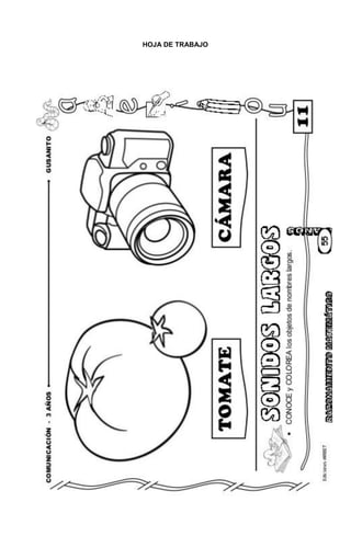 64
HOJA DE TRABAJO
 