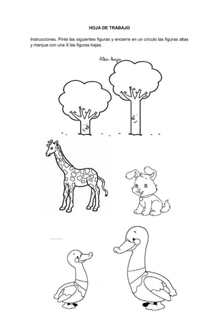 84
HOJA DE TRABAJO
Instrucciones. Pinte las siguientes figuras y encierre en un círculo las figuras altas
y marque con una X las figuras bajas.
 