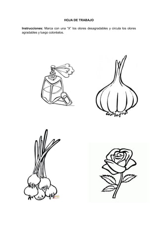 9
HOJA DE TRABAJO
Instrucciones: Marca con una “X” los olores desagradables y circula los olores
agradables y luego coloréalos.
 