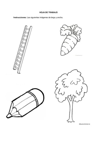 96
HOJA DE TRABAJO
Instrucciones: Las siguientes imágenes de largo y ancho.
 