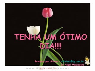 TENHA UM ÓTIMO DIA!!!! Revisado por Silvana –  [email_address]   by Angel Mensagens  