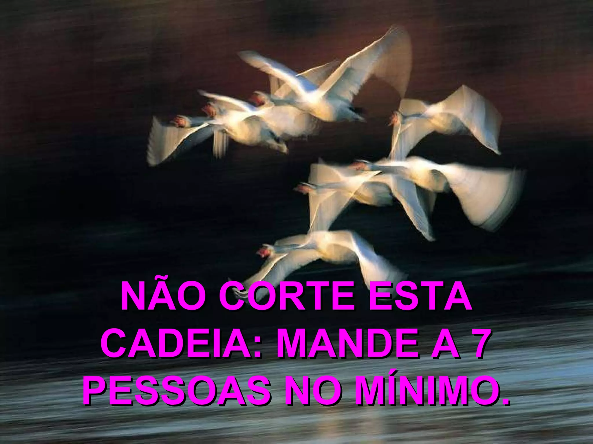 NÃO CORTE ESTA CADEIA: MANDE A 7 PESSOAS NO MÍNIMO.