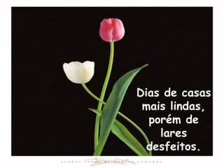 Dias de casas
 mais lindas,
  porém de
    lares
  desfeitos.
 