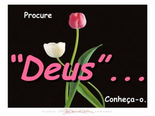 Procure




“Deus”...
           Conheça-o.
 